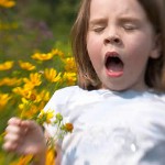 Çocuklarda pollinosis: polen alerjisi Çocuklarda pollinosis: polen alerjisi