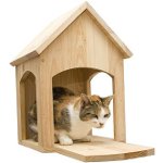 Bir kedi için bir ev yapmak için