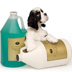 Köpekler için Kozmetik: Nasıl seçilir?