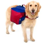 Köpek için sırt çantası Köpek için sırt çantası