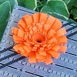 Yılbaşı Elbiselerini Sallamak