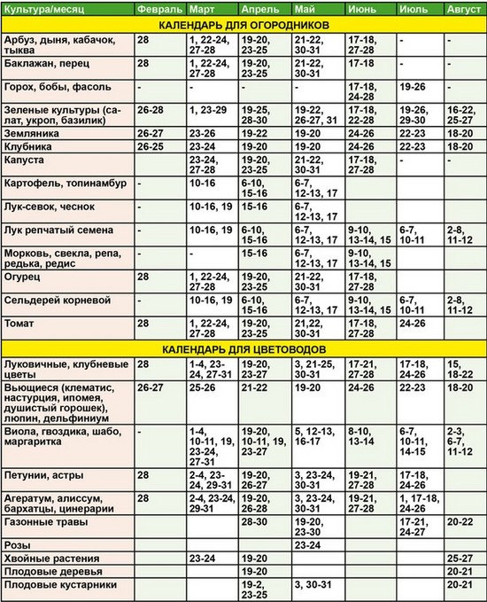Ağustos 2015'te bahçıvanlık bahçıvanının ay takvimi