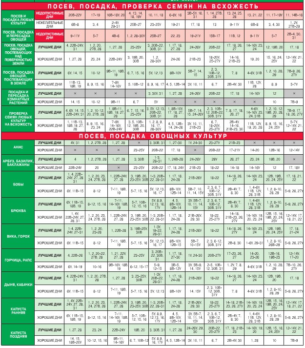 Ağustos 2015'te bahçıvanlık bahçıvanının ay takvimi