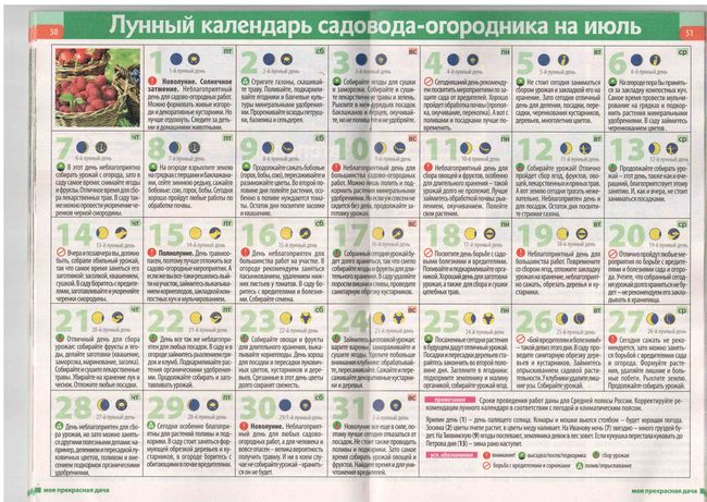 Orta Çağ 2015 Bahçıvanının Ay Takvimi