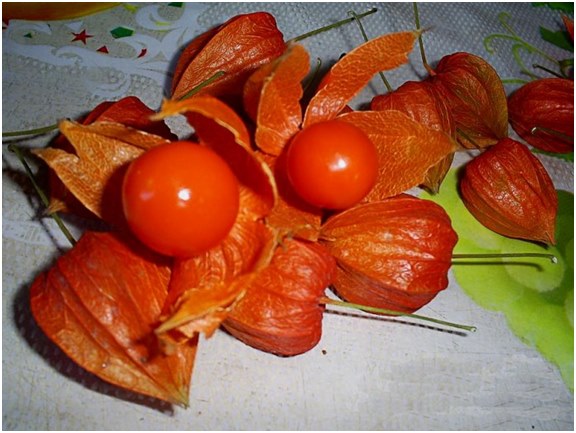 fıstığın meyveleri