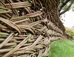 Wickerwork - sitenizin dekorasyonu Wickerwork - sitenizin dekorasyonu