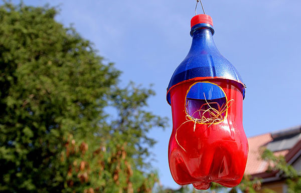 Kendi elleriyle bahçe ve meyve bahçesi için plastik şişelerden yeni el işleri