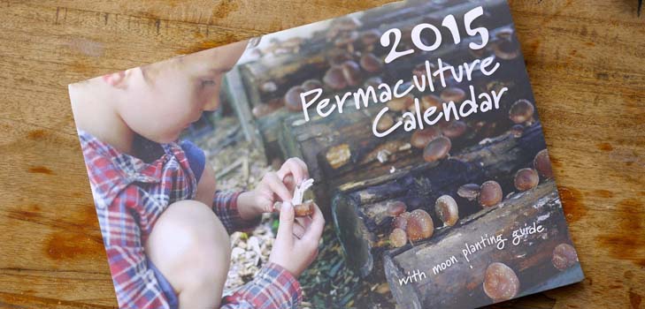Ekim takvimi 2015: Ocak-Aralık ayları arasında çalışmayı planlıyoruz