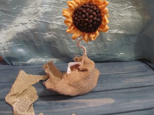 Topaç ayçiçeği kendi elinde