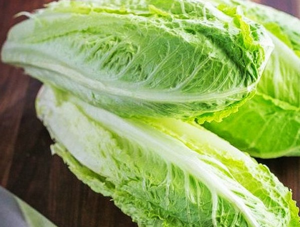Teori ve pratikte büyüyen salata, faydalı tavsiyeler ve öneriler