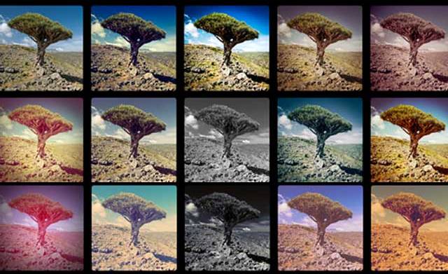 Instagram nasıl kullanılır