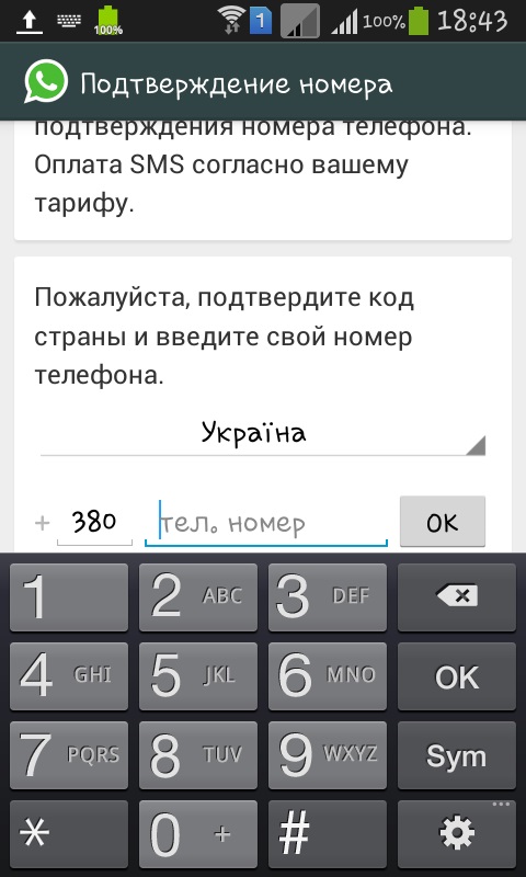 Whatsapp nasıl kurulabilir