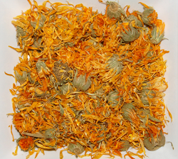 Marigold İnfüzyonu