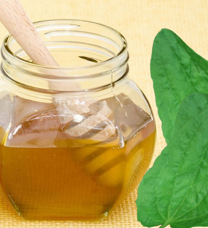 Mide ülseri tedavisi halk ilaçlarıyla tedavi