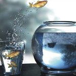Comfort Zone: nasıl genişletileceğini?