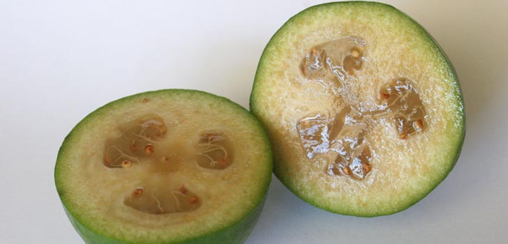 Feijoa - feijoa'nın faydalı özellikleri, yararları ve zararları