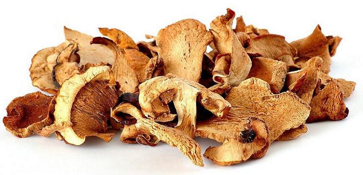 Mantarları Nasıl Kuruturum
