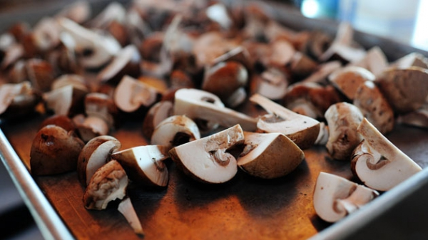 Mantarları Nasıl Kuruturum