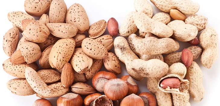 2015 Nut Spalar kutlandığında