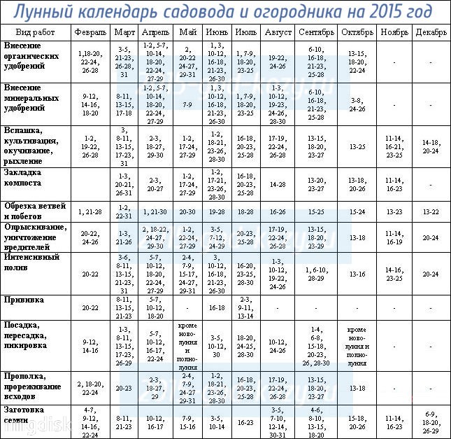 Ev Bitkilerinin Transplantasyonunun Ay Takvimi 2015