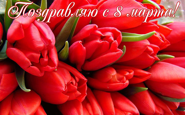 8 Mart'ta tebrikler