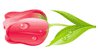 8 Mart ayetinde tebrikler