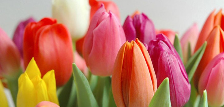 8 Mart'ta güzel ve özgün tebrikler ayette ve nesirde