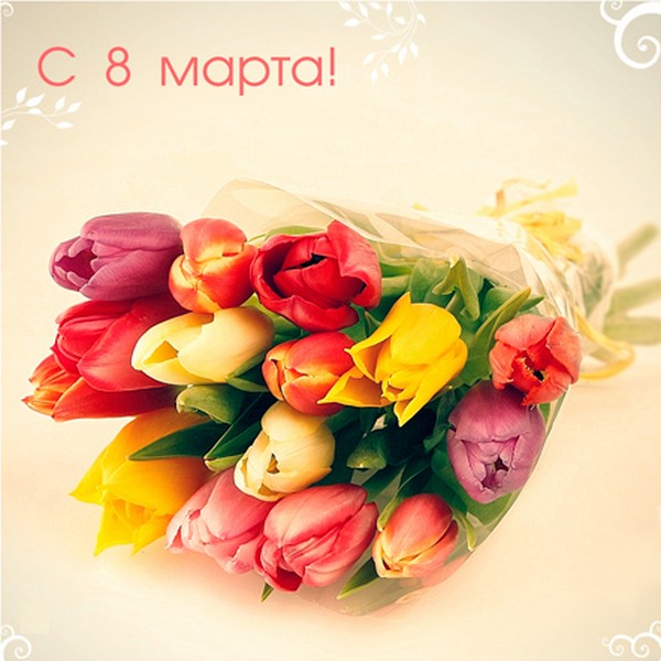 8 Mart'ta güzel ve özgün tebrikler ayette ve nesirde