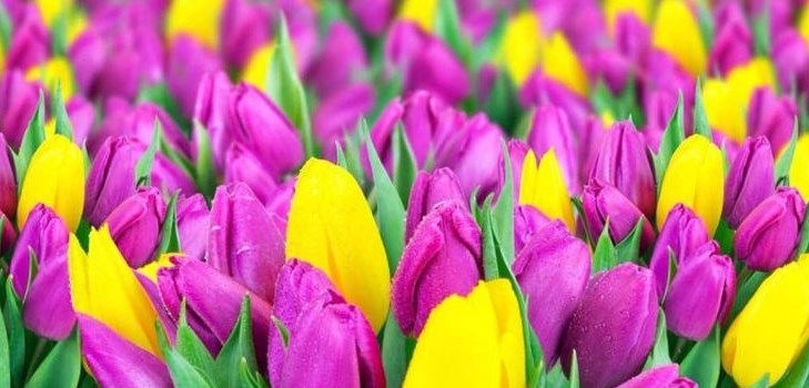 8 Mart'ta eğlenceli tostlar