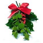 Farklı ülkelerdeki Noel gelenekleri. Bölüm 2