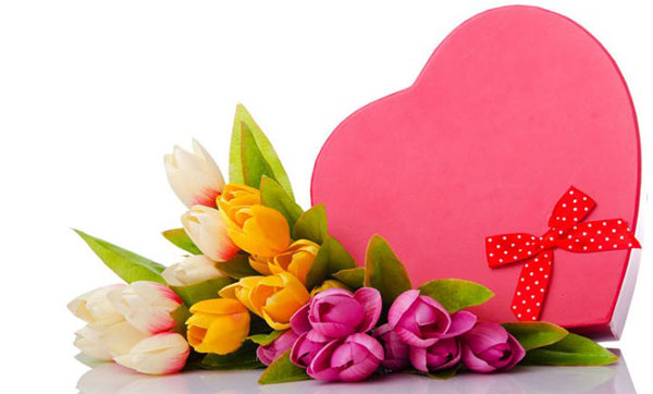 Senaryo 8 Mart