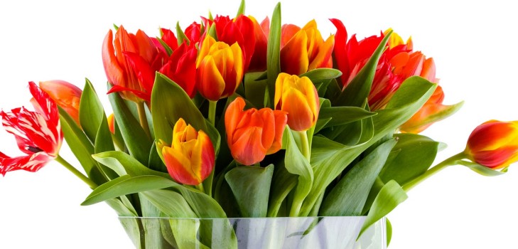 8 Mart'taki en dokunaklı ve güzel şiirler, sevilen kadınlar