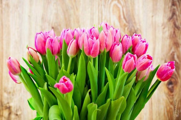 8 Mart'taki en dokunaklı ve güzel şiirler, sevilen kadınlar