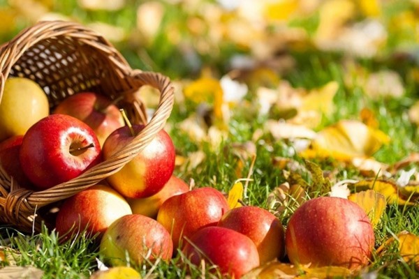 Apple Savior, SMS için tebrikler, kısa, komik. Tebrikler Apple Kurtarıcısı ile ayette ve nesir Apple Savior, SMS için tebrikler, kısa, komik. Tebrikler Apple Kurtarıcısı ile ayette ve nesir