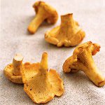 Kış için chanterelles pişiririz