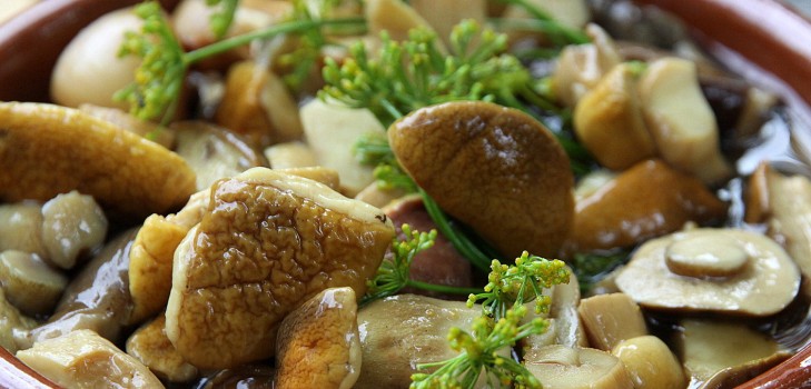 Beyaz mantar: lezzetli yemekler pişirmek için kullanılan tarifler