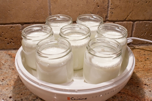 yogurtnitsa'da ev yapımı yoğurt