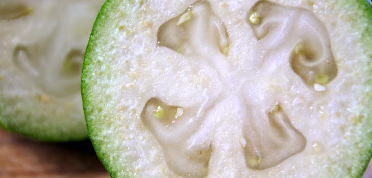 Şekersiz Feijoa, fotoğrafları ile en iyi tarif