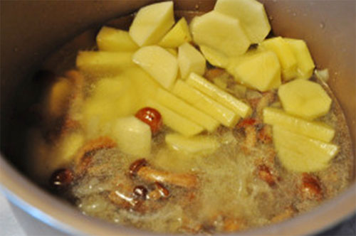 Patates koy