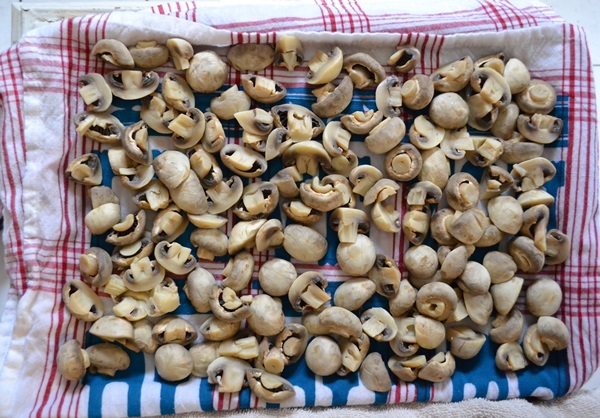 Kış için mantar tuz nasıl
