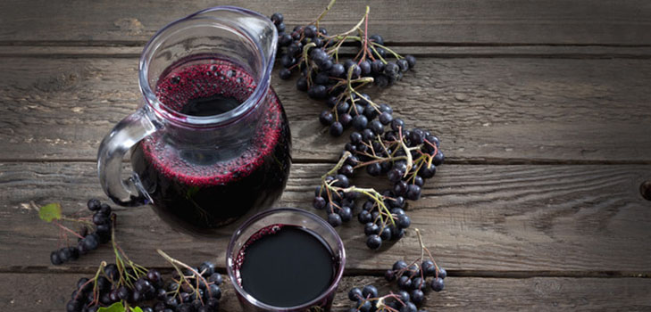 Chokeberry ashberry'den komposto