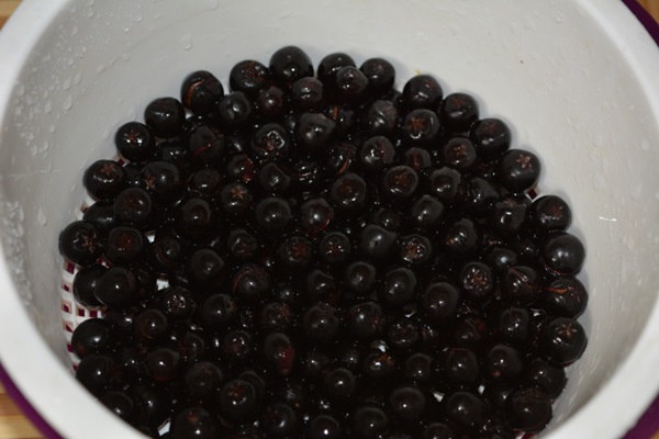 Chokeberry ashberry'den komposto