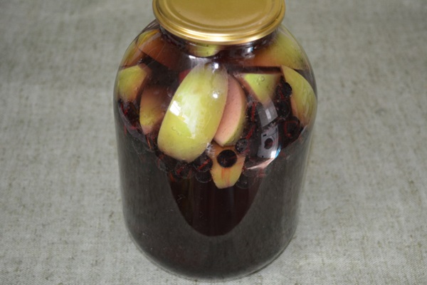 Chokeberry ashberry'den komposto