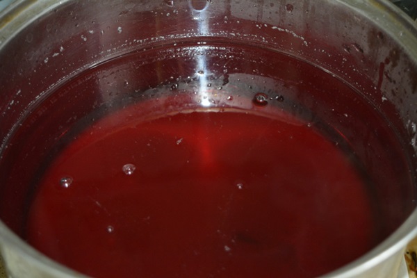 Chokeberry ashberry'den komposto