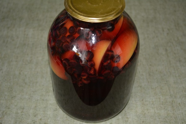 Chokeberry ashberry'den komposto