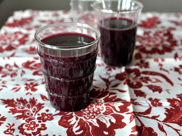 Chokeberry ashberry'den komposto