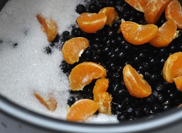 Chokeberry ashberry'den komposto