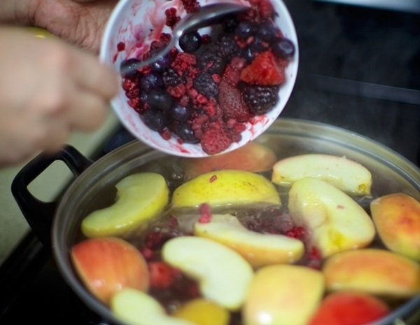 Chokeberry ashberry'den komposto