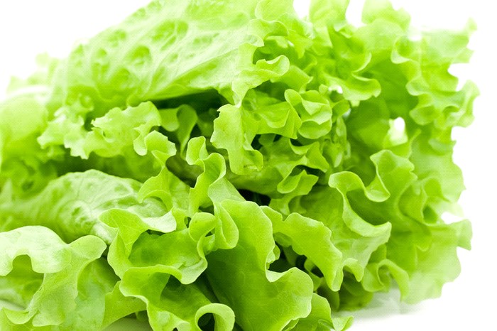 yeşil salata