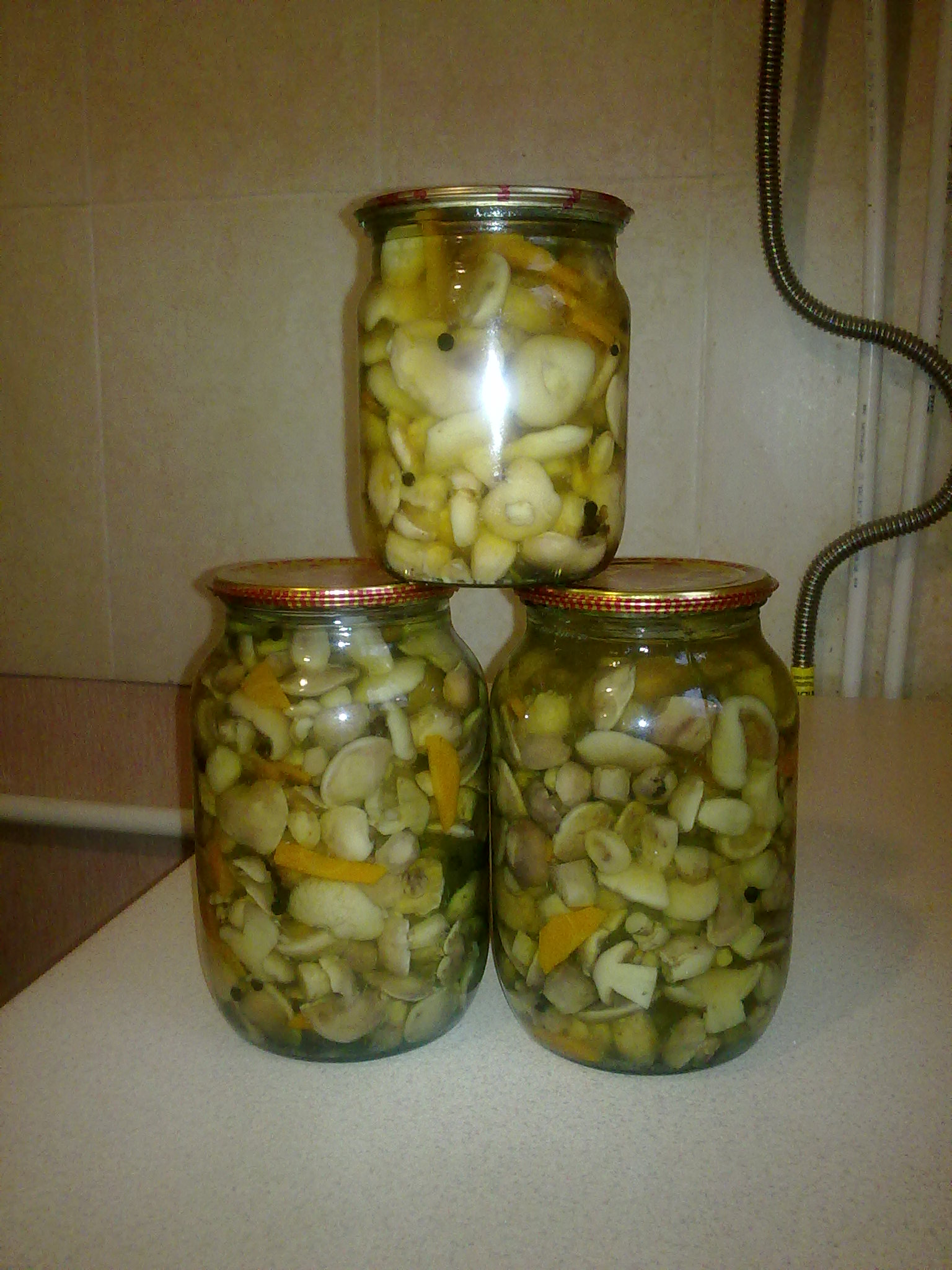 Ayran tohumu
